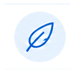 Lightweight system icon